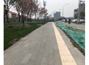 上海桥延伸段